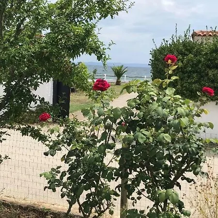 Zeta's House Εξοχικό σπίτι *